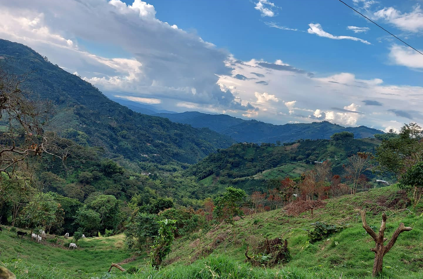 Puedes hacer muchas cosas en la finca